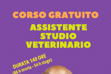 Corso della durata di 140 ore (86h Teoria - 54h Stage)