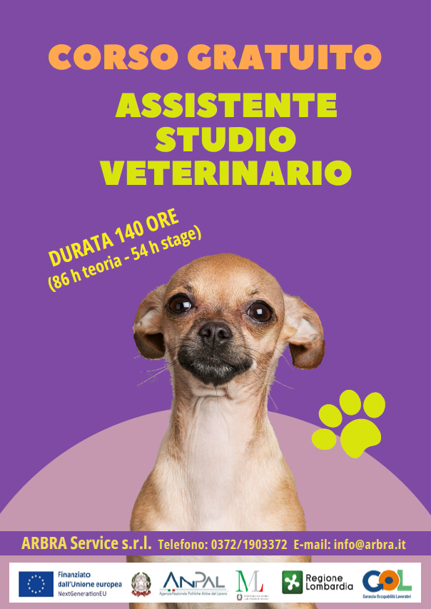 Corso della durata di 140 ore (86h Teoria - 54h Stage)